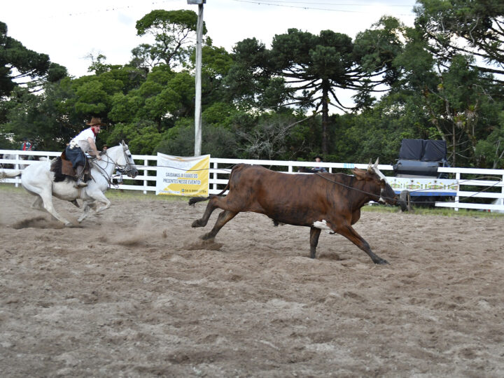 Cultura, artesanato e gastronomia típica: Rodeio do CTG Querência apresenta edição que vai além das competições campeiras e artísticas