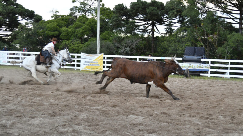 Cultura, artesanato e gastronomia típica: Rodeio do CTG Querência apresenta edição que vai além das competições campeiras e artísticas