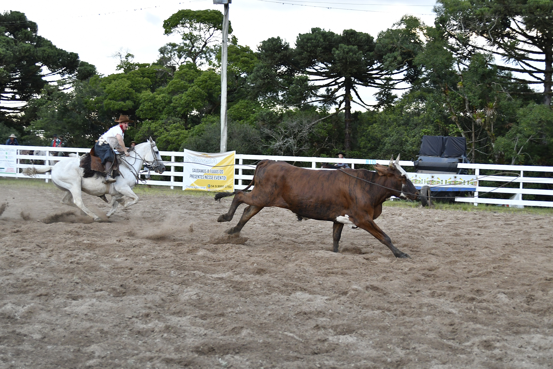 Cultura, artesanato e gastronomia típica: Rodeio do CTG Querência apresenta edição que vai além das competições campeiras e artísticas