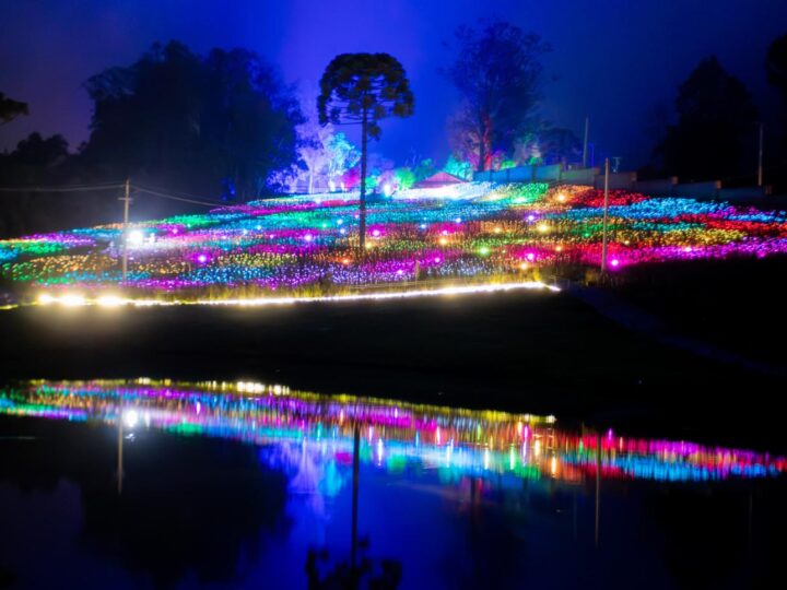 Noite sob as estrelas: Lumni Experience anuncia luau inédito com música ao vivo e contemplação em Gramado