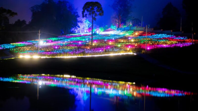 Noite sob as estrelas: Lumni Experience anuncia luau inédito com música ao vivo e contemplação em Gramado