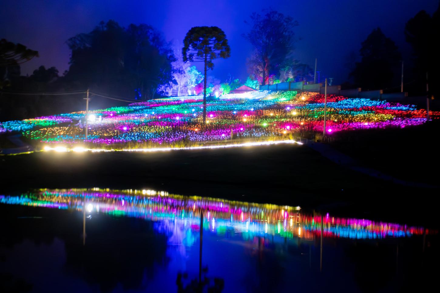 Noite sob as estrelas: Lumni Experience anuncia luau inédito com música ao vivo e contemplação em Gramado