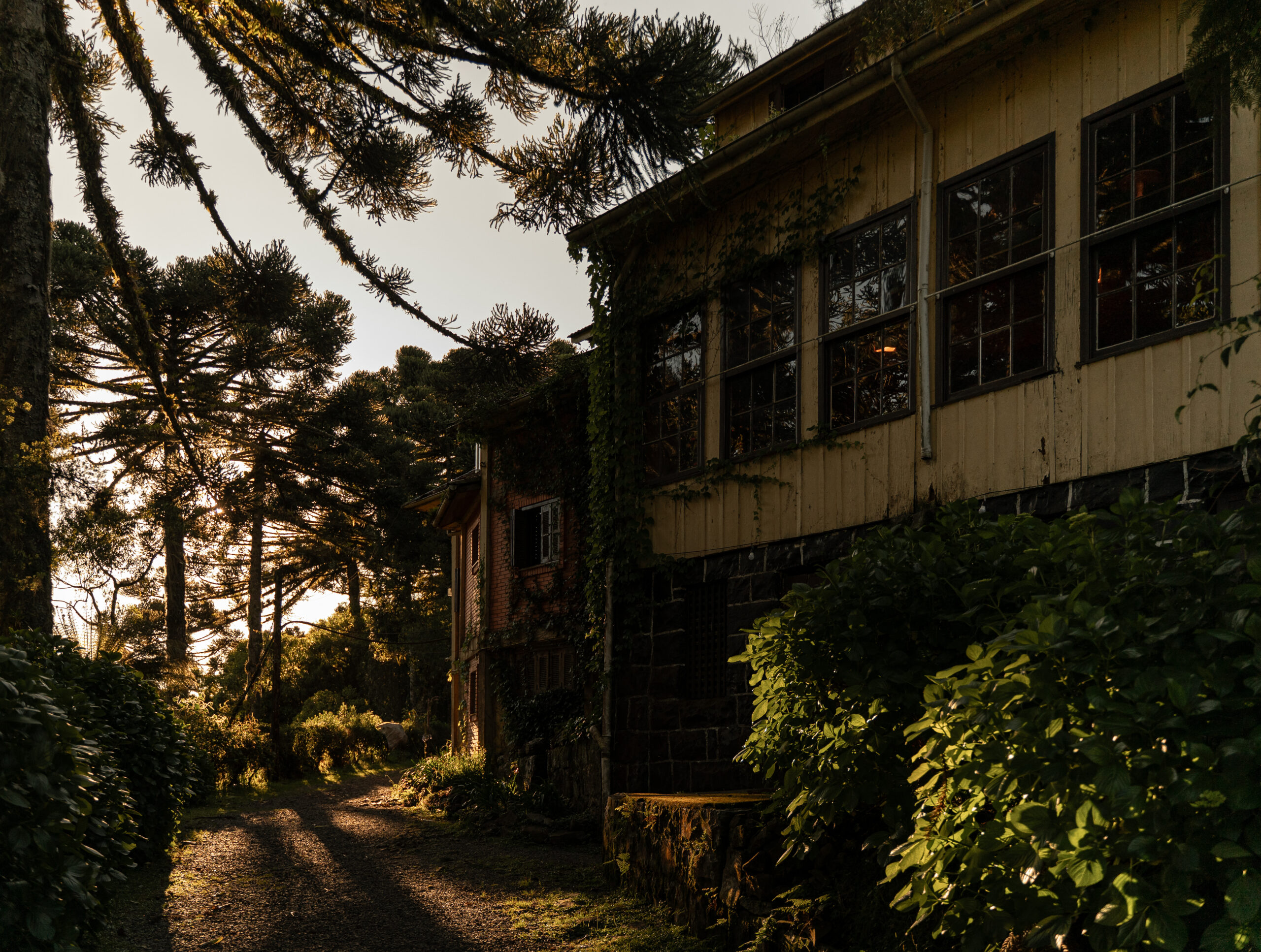 Carnaval de silêncio, sabor e natureza: Parador Hampel transforma o feriado em refúgio na Serra Gaúcha