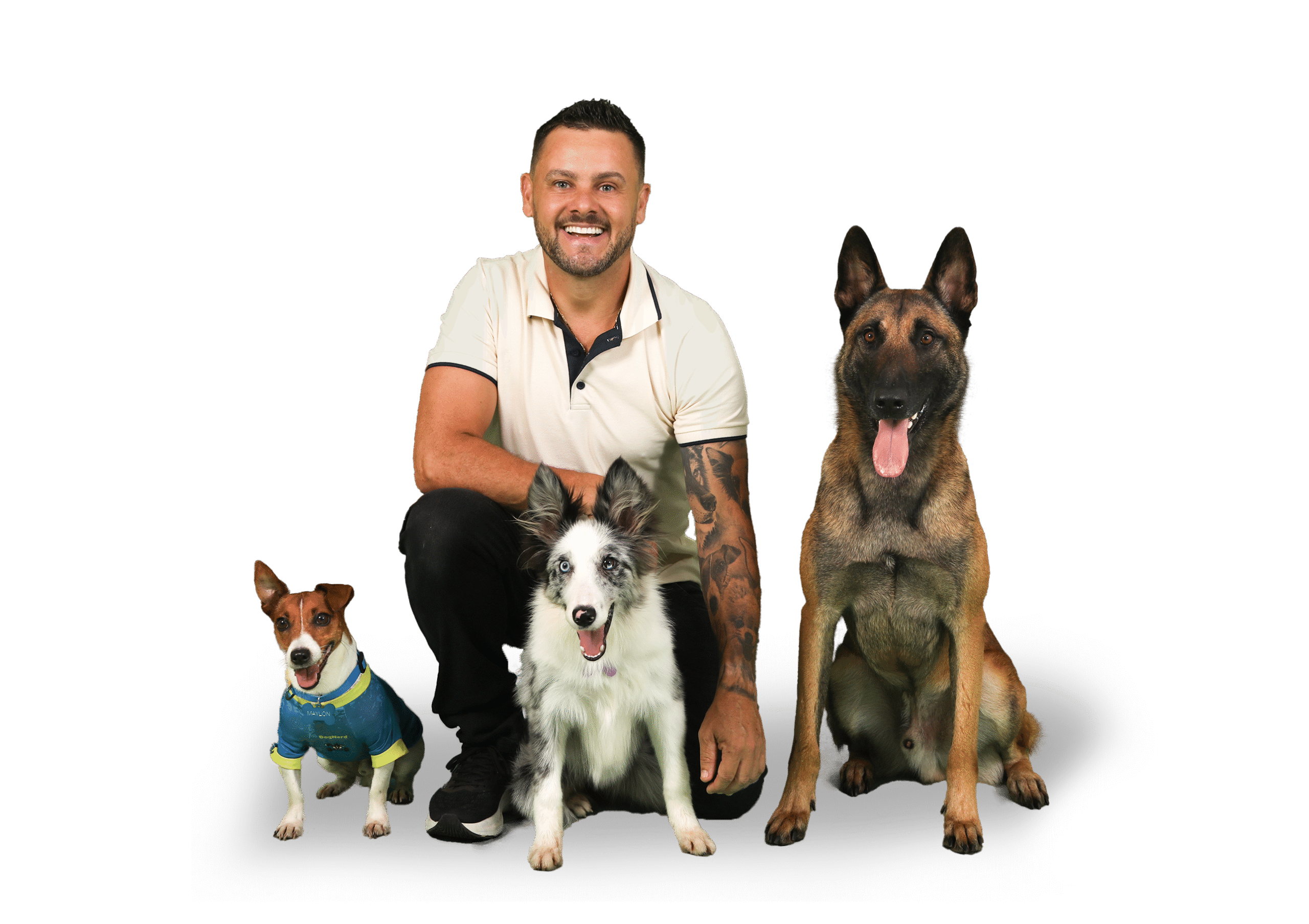 Cães em cena e emoção à flor da pele: espetáculo gratuito promete tocar o público em Caxias do Sul