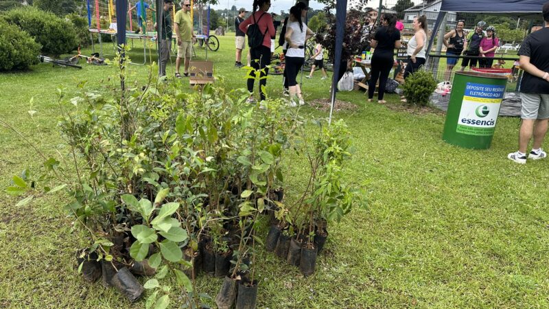 Feira Canela + Verde promove sustentabilidade e adoção de animais neste sábado no Parque do Lago