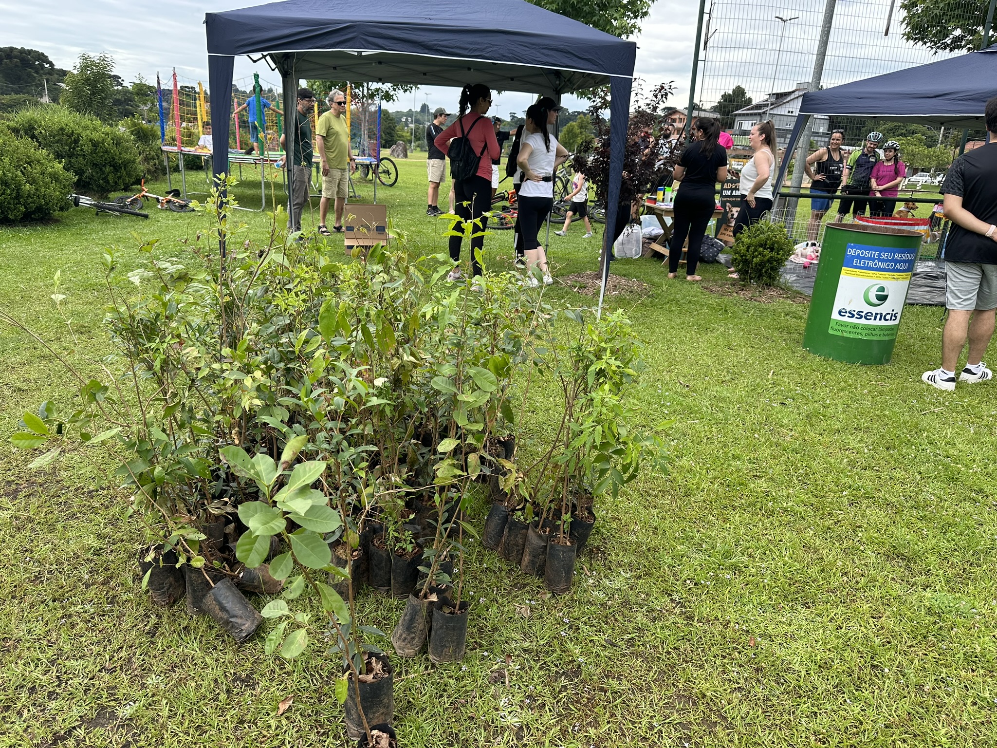 Feira Canela + Verde promove sustentabilidade e adoção de animais neste sábado no Parque do Lago