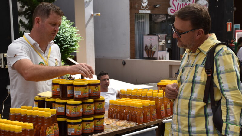 NovaMelFest movimenta Nova Petrópolis e amplia programação do Verão no Jardim da Serra Gaúcha