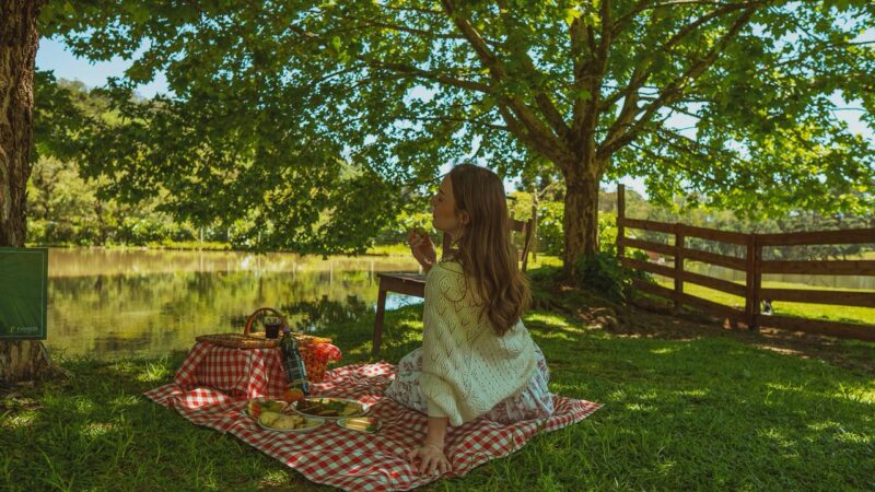 Refúgio Fioreze transforma manhãs em experiência de conexão com a natureza em Gramado