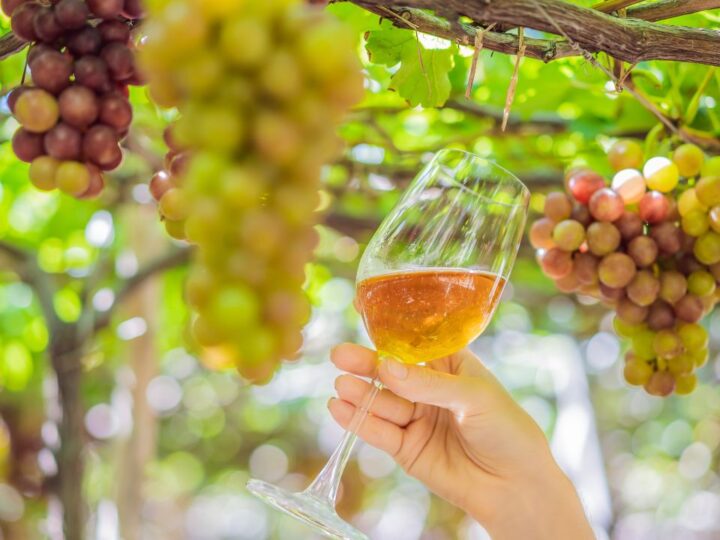 Vinho brasileiro ganha aplicativo com roteiros e vinícolas